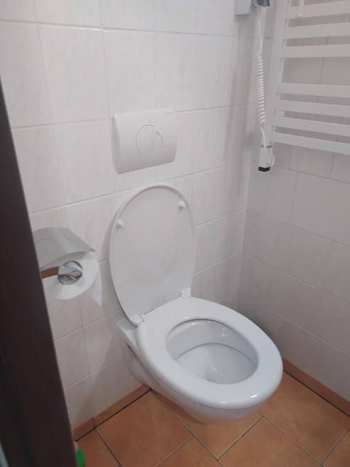 Apartmany U Torina Boží Dar Eksteriør billede